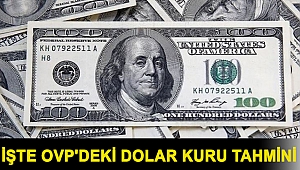 İşte OVP'deki dolar kuru tahmini