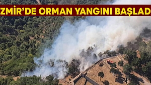 İzmir'de orman yangını! Müdahale başladı