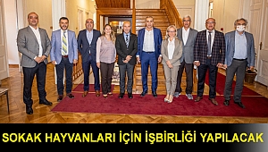 Sokak hayvanları için işbirliği yapılacak