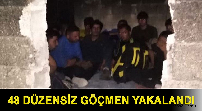 Van'da 48 düzensiz göçmen yakalandı
