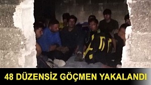 Van'da 48 düzensiz göçmen yakalandı