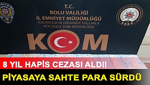 5 kentte piyasaya sahte para sürdü, indirimle 8 yıl hapis cezası aldı