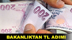 Bakanlıktan TL adımı