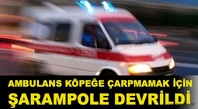 Bingöl'de köpeğe çarpmamak için manevra yapan ambulans şarampole devrildi
