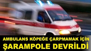 Bingöl'de köpeğe çarpmamak için manevra yapan ambulans şarampole devrildi