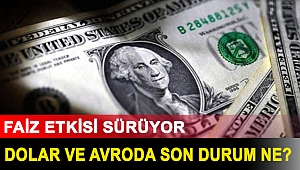 Faiz etkisi sürüyor: Dolar ve avroda son durum ne?