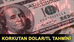 Korkutan dolar/TL tahmini