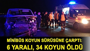 Minibüs koyun sürüsüne çarptı: 6 yaralı, 34 koyun öldü