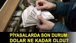 Piyasalarda son durum: Dolar ne kadar oldu?