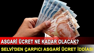Asgari ücret ne kadar olacak? Selvi'den '3 bin 600 TL' iddiası