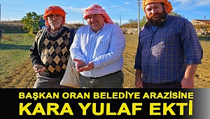 Başkan Oran belediye arazisine kara yulaf ekti