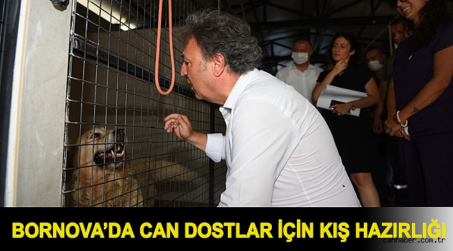 Can dostlar için kış hazırlığı