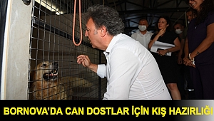 Can dostlar için kış hazırlığı