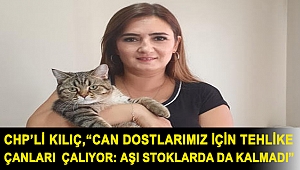 CHP İzmir Milletvekili Av. Sevda Erdan Kılıç: “Can dostlarımız için tehlike çanları çalıyor: Aşı stoklarda da kalmadı”