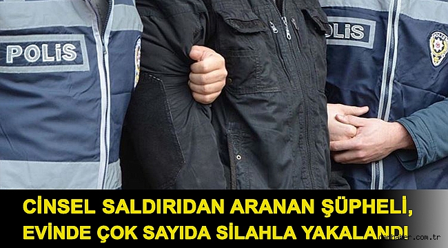 Cinsel saldırıdan aranan şüpheli, evinde çok sayıda silahla yakalandı