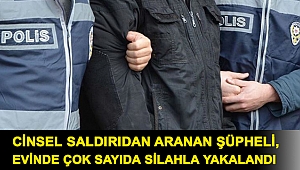 Cinsel saldırıdan aranan şüpheli, evinde çok sayıda silahla yakalandı