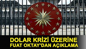 Dolar krizi üzerine Fuat Oktay'dan açıklama