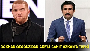 Gökhan Özoğuz'dan, 'Japonya' örneğini veren AKP'li Cahit Özkan'a tepki