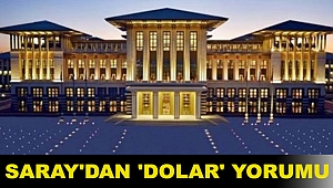 Saray'dan 'dolar' yorumu