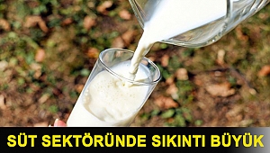 Temsilcilerden uyardı: Süt sektöründe sıkıntı büyük, hayvanlar kesime gidiyor