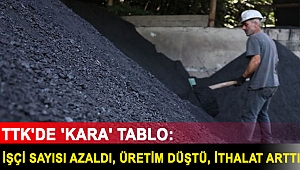 TTK'de 'kara' tablo: İşçi sayısı azaldı, üretim düştü, ithalat arttı