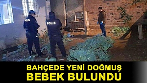 Bağcılar’da bahçede yeni doğmuş bebek bulundu