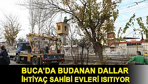 Buca’da budanan dallar ihtiyaç sahibi evleri ısıtıyor