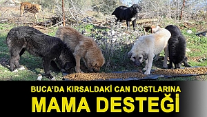 Buca’da kırsaldaki can dostlarına mama desteği