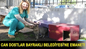 Can dostlar Bayraklı Belediyesi’ne emanet!