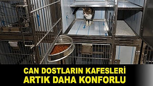 Can dostların kafesleri artık daha konforlu