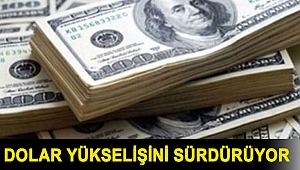 Dolar yükselişini sürdürüyor (6 Aralık 2021)