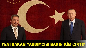 Erdoğan'ın gece vakti atadığı yeni Hazine Ve Maliye Bakanı Yardımcısı Gürcan bakın kim çıktı?