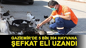 Gaziemir’de 5 bin 304 hayvana şefkat eli uzandı