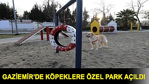 Gaziemir’de köpeklere özel park açıldı