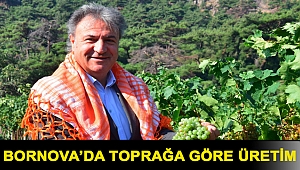 Toprağa göre üretim