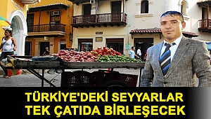 Türkiye'deki seyyarlar tek çatıda birleşecek