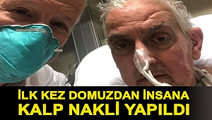 ABD'de ilk kez domuzdan insana kalp nakli yapıldı