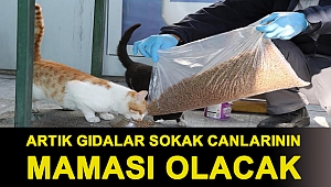 Artık gıdalar sokak canlarının maması olacak