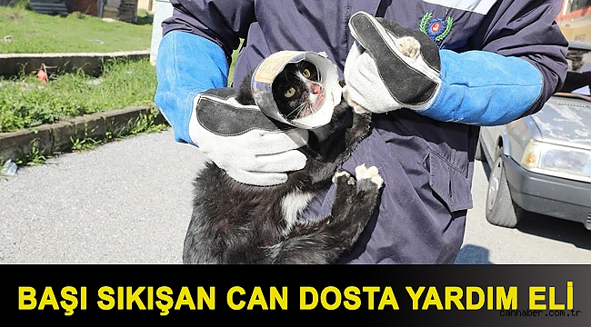 Başı sıkışan can dosta yardım eli