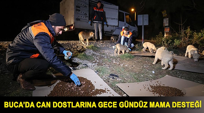 Buca’da can dostlarına gece gündüz mama desteği