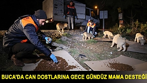 Buca’da can dostlarına gece gündüz mama desteği