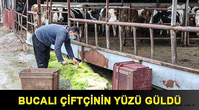 Bucalı çiftçinin yüzü güldü