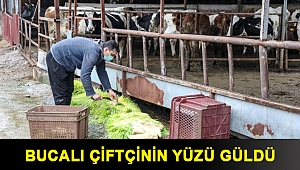 Bucalı çiftçinin yüzü güldü