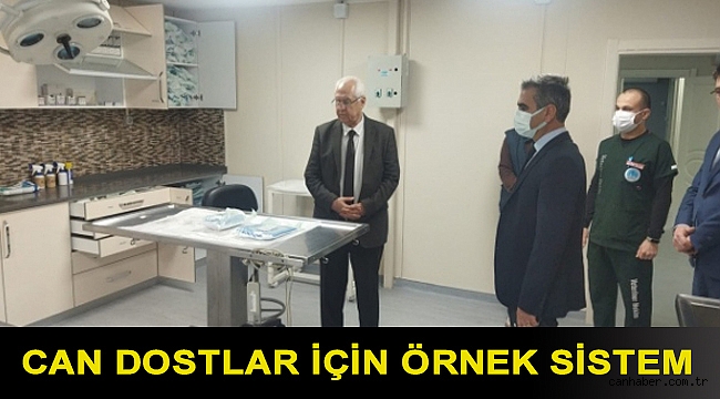 Can dostlar için örnek sistem