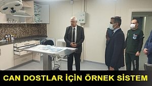 Can dostlar için örnek sistem