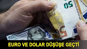 Euro ve dolar düşüşe geçti