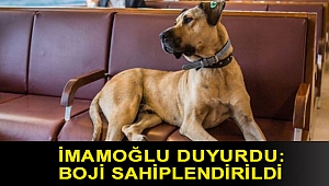 İmamoğlu duyurdu: Boji sahiplendirildi