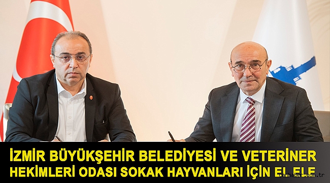 İzmir Büyükşehir Belediyesi ve Veteriner Hekimleri Odası sokak hayvanları için el ele