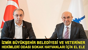 İzmir Büyükşehir Belediyesi ve Veteriner Hekimleri Odası sokak hayvanları için el ele