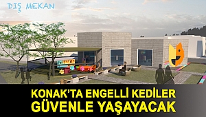 Konak’ta engelli kediler Güvenle yaşayacak